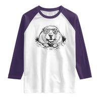 Funny Groundhog Face Woodchuck Sunglassess Raglan Shirt - Wonder Print Shop