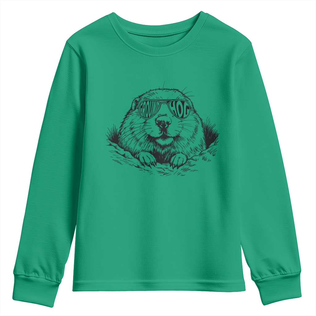 Funny Groundhog Face Woodchuck Sunglassess Youth Sweatshirt - Wonder Print Shop