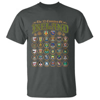 The 32 Counties Of Ireland T Shirt Irish Pride Heritage Vintage Celtic Shamrock