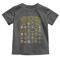 The 32 Counties Of Ireland Toddler T Shirt Irish Pride Heritage Vintage Celtic Shamrock
