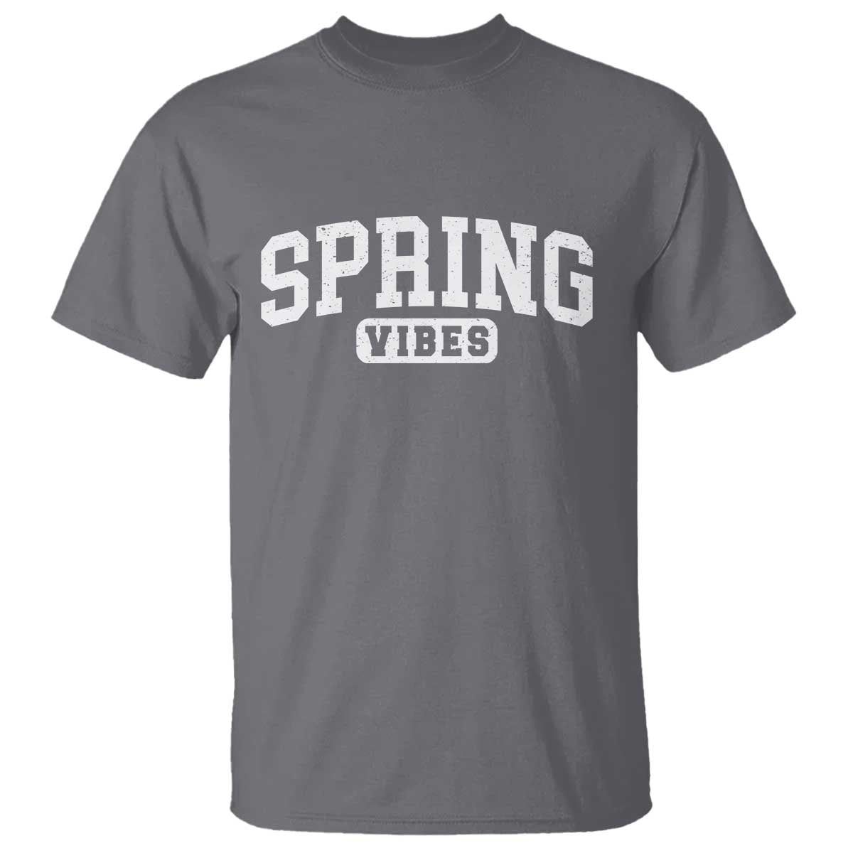 Spring Vibes T Shirt Spring Break Easter Day Bold Text