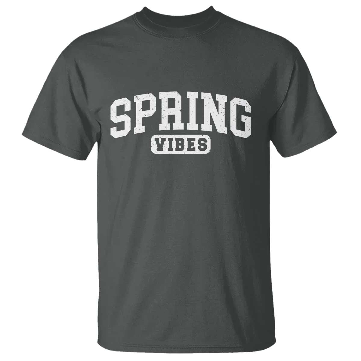 Spring Vibes T Shirt Spring Break Easter Day Bold Text