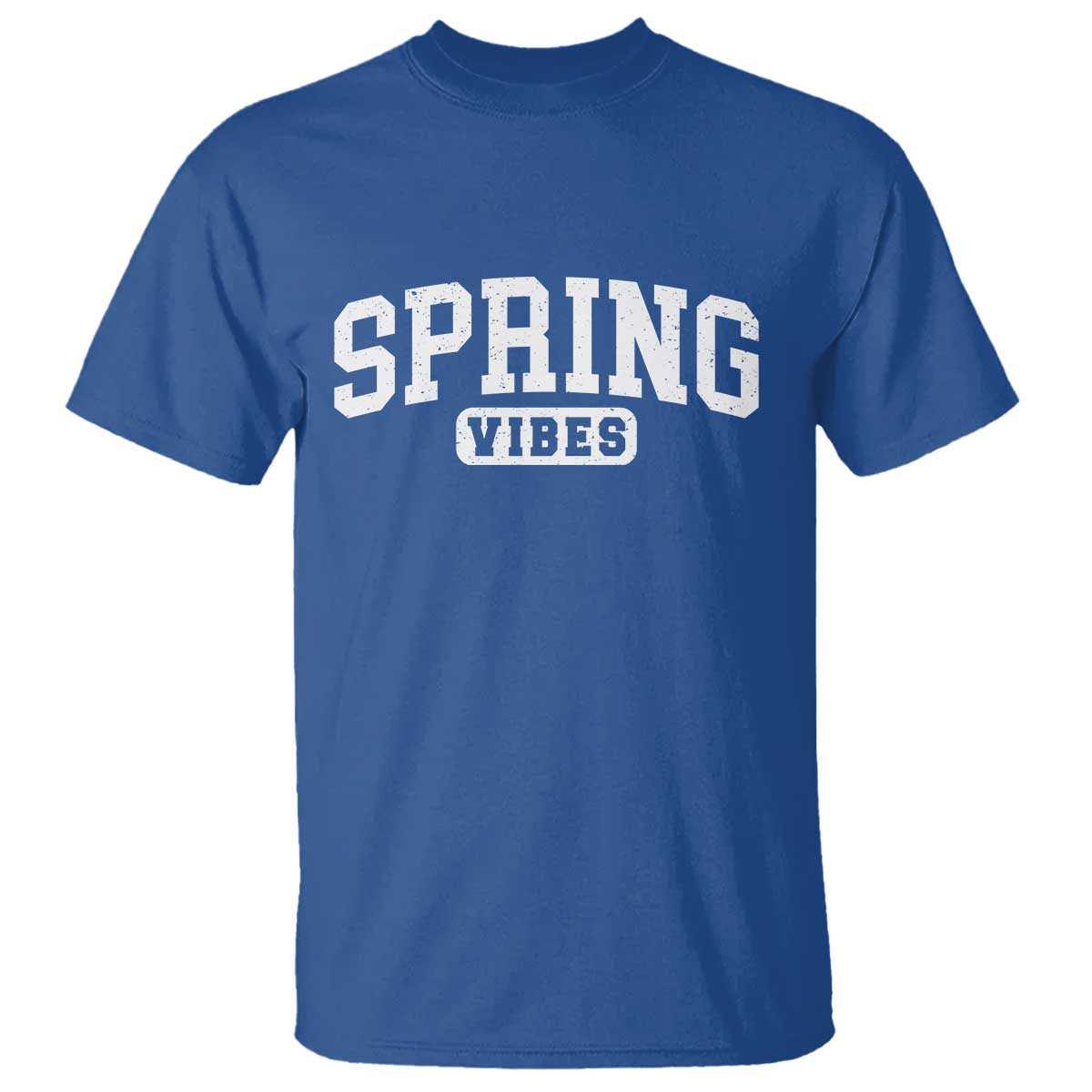 Spring Vibes T Shirt Spring Break Easter Day Bold Text