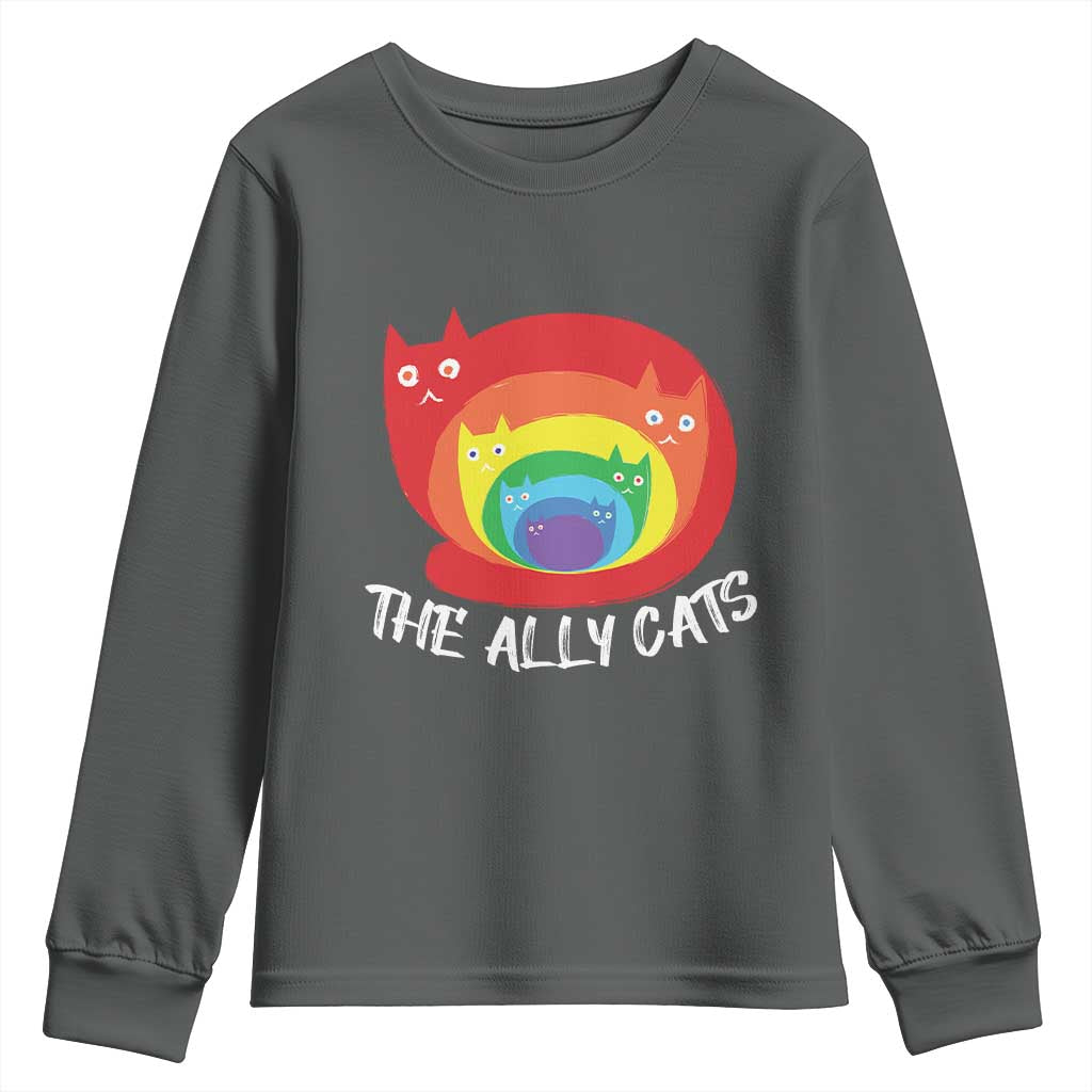 Funny LGBT The Ally Cats Youth Sweatshirt Pride Month Rainbow Cat