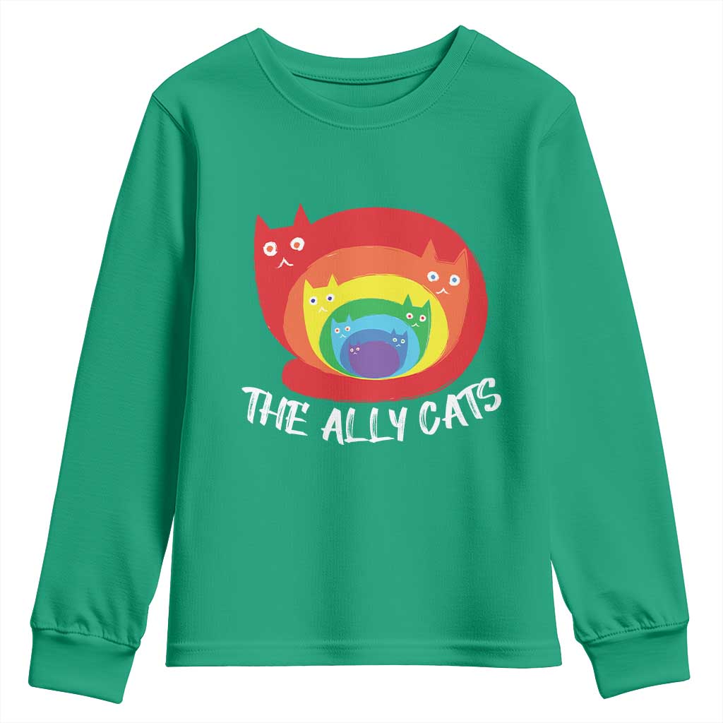 Funny LGBT The Ally Cats Youth Sweatshirt Pride Month Rainbow Cat