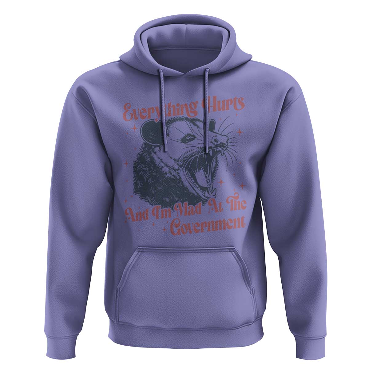 Everything Hurts And I Am Mad At The Government Hoodie Funny Burnout Possum