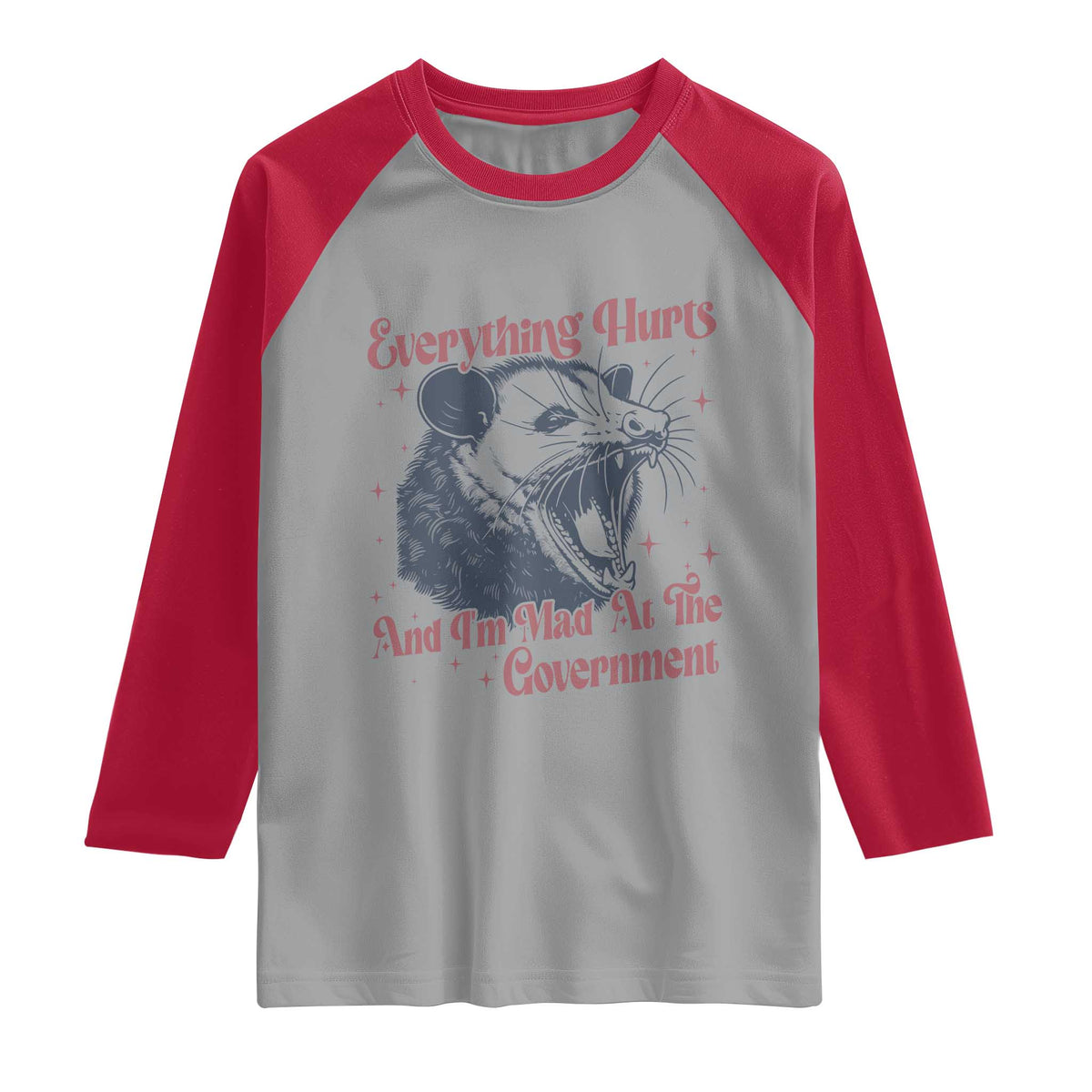 Everything Hurts And I Am Mad At The Government Raglan Shirt Funny Burnout Possum