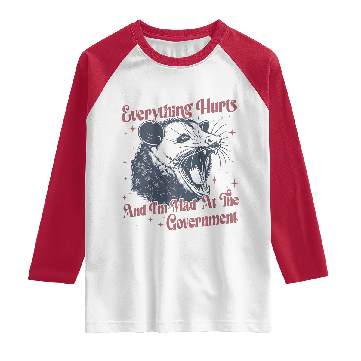 Everything Hurts And I Am Mad At The Government Raglan Shirt Funny Burnout Possum