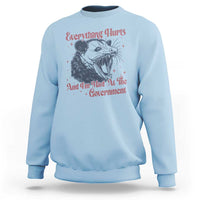 Everything Hurts And I Am Mad At The Government Sweatshirt Funny Burnout Possum