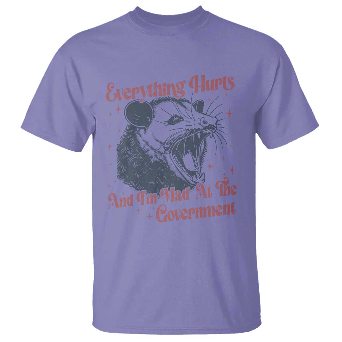 Everything Hurts And I Am Mad At The Government T Shirt Funny Burnout Possum