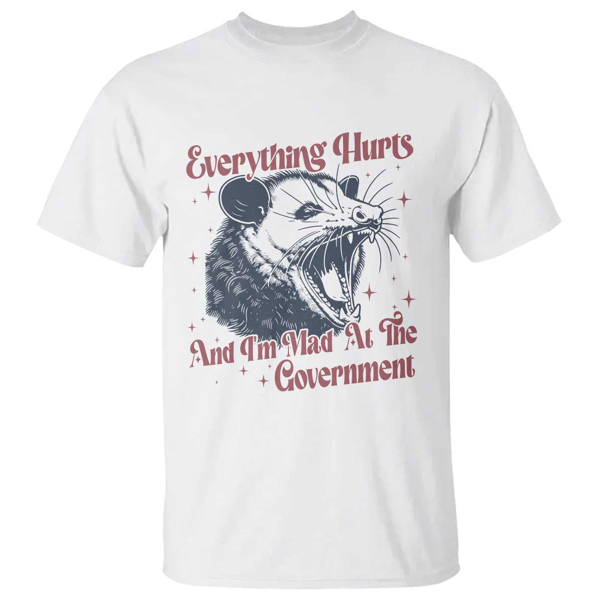 Everything Hurts And I Am Mad At The Government T Shirt Funny Burnout Possum