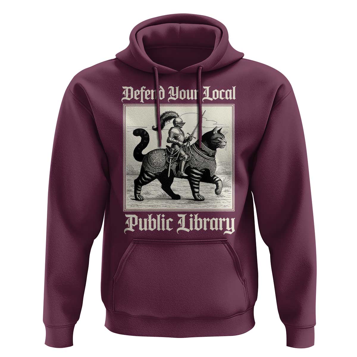 Defend Your Local Public Library Hoodie Knight Cat for Fantasy Book Lovers