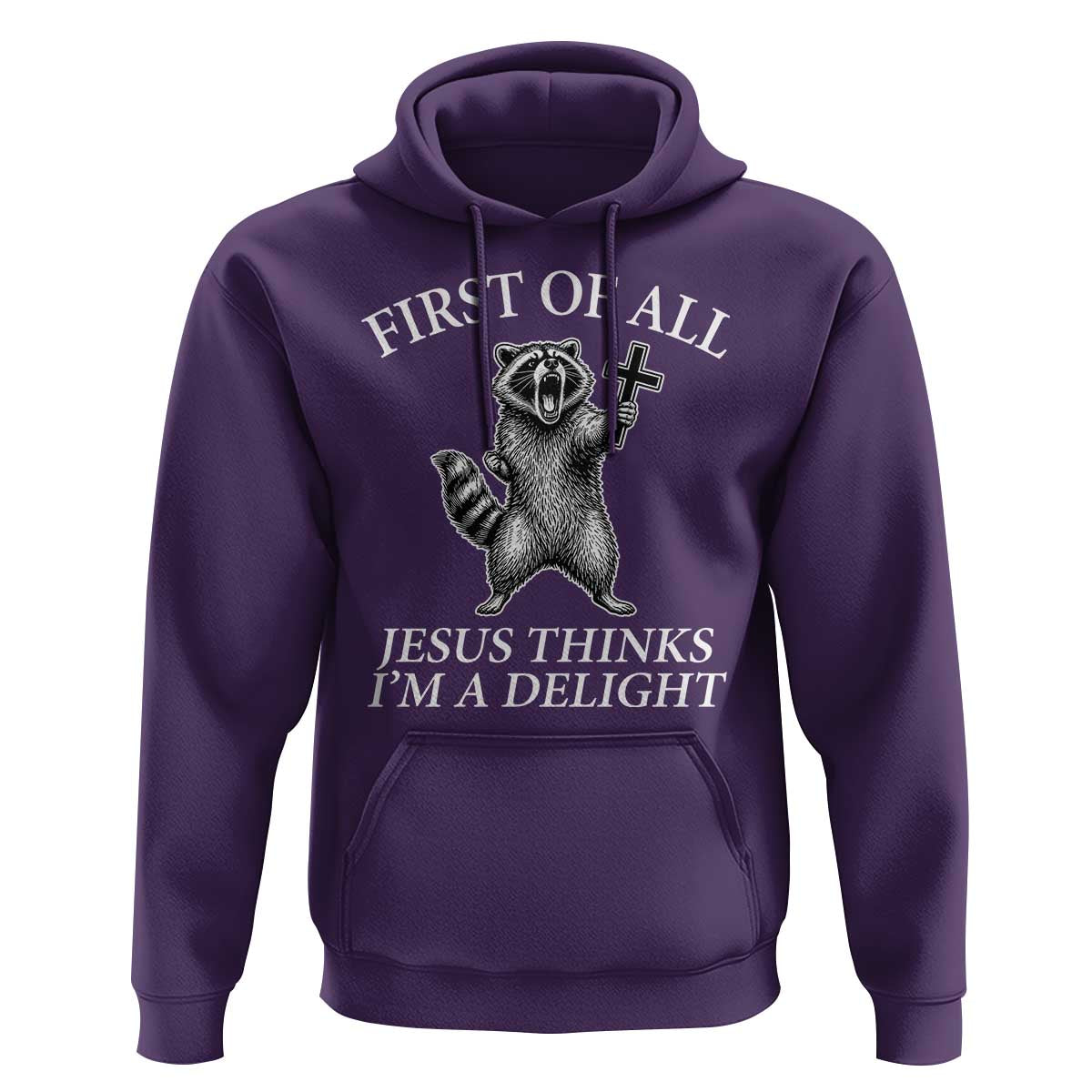 First of All Jesus Thinks I Am A Delight Hoodie Funny Raccoon