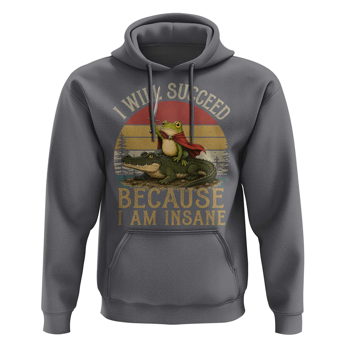 I Will Succeed Because I Am Insane Funny Frog Riding Alligator Hoodie