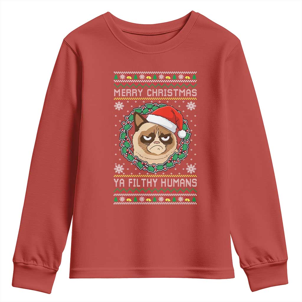 Merry Christmas Ya Filthy Humans Cat Youth Sweatshirt Funny Xmas Grumpy Cat - Wonder Print Shop