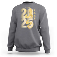 Happy Chinese New Year 2025 Sweatshirt Calligraphy Year Of The Snake Zodiac Animals
