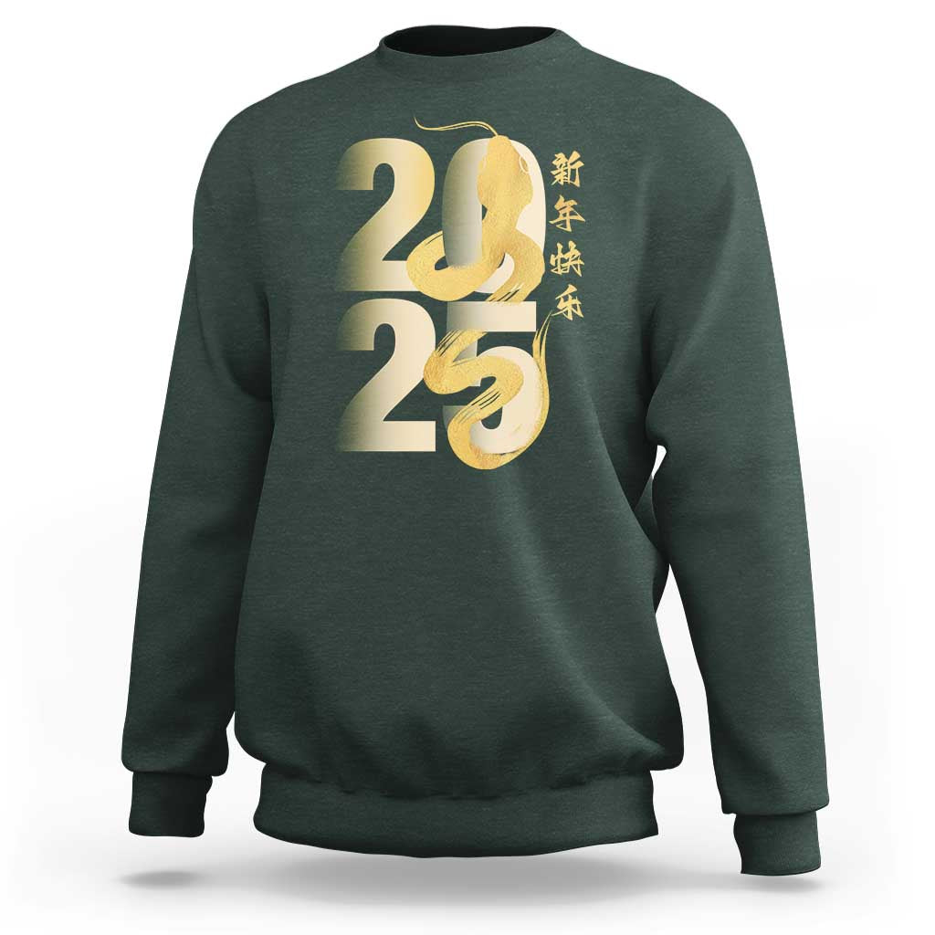 Happy Chinese New Year 2025 Sweatshirt Calligraphy Year Of The Snake Zodiac Animals