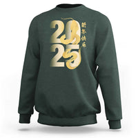 Happy Chinese New Year 2025 Sweatshirt Calligraphy Year Of The Snake Zodiac Animals