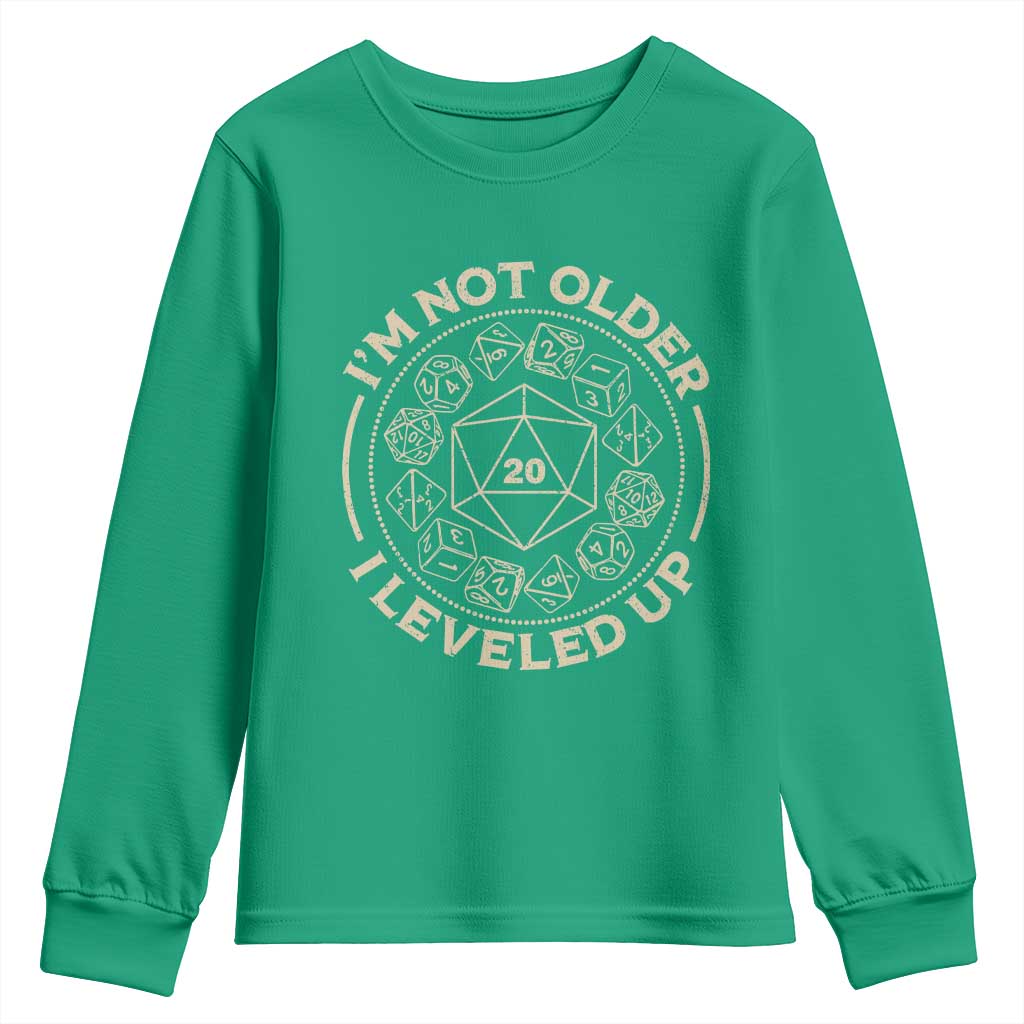 Funny RPG Gamer I'm Not Older I Leveled Up Youth Sweatshirt Vintage D20 Tabletop Dice - Wonder Print Shop