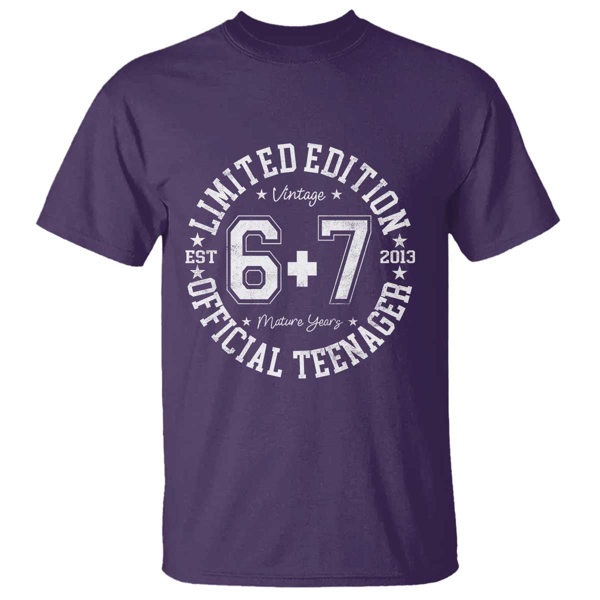 Funny 67 13th Birthday T Shirt Est 2013 Limited Edition Official Teenager