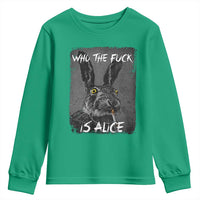 Funny Rabbit Who The Fuck Is Alice Youth Sweatshirt
