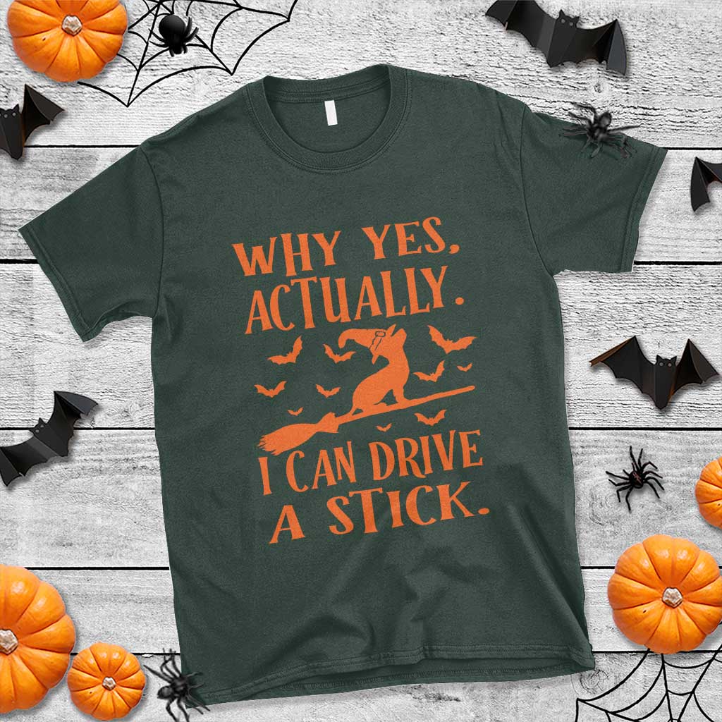 Halloween Dog T Shirt Why Yes Actually I Can Drive A Stick Witch - Wonder Print Shop