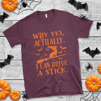 Halloween Dog T Shirt Why Yes Actually I Can Drive A Stick Witch - Wonder Print Shop