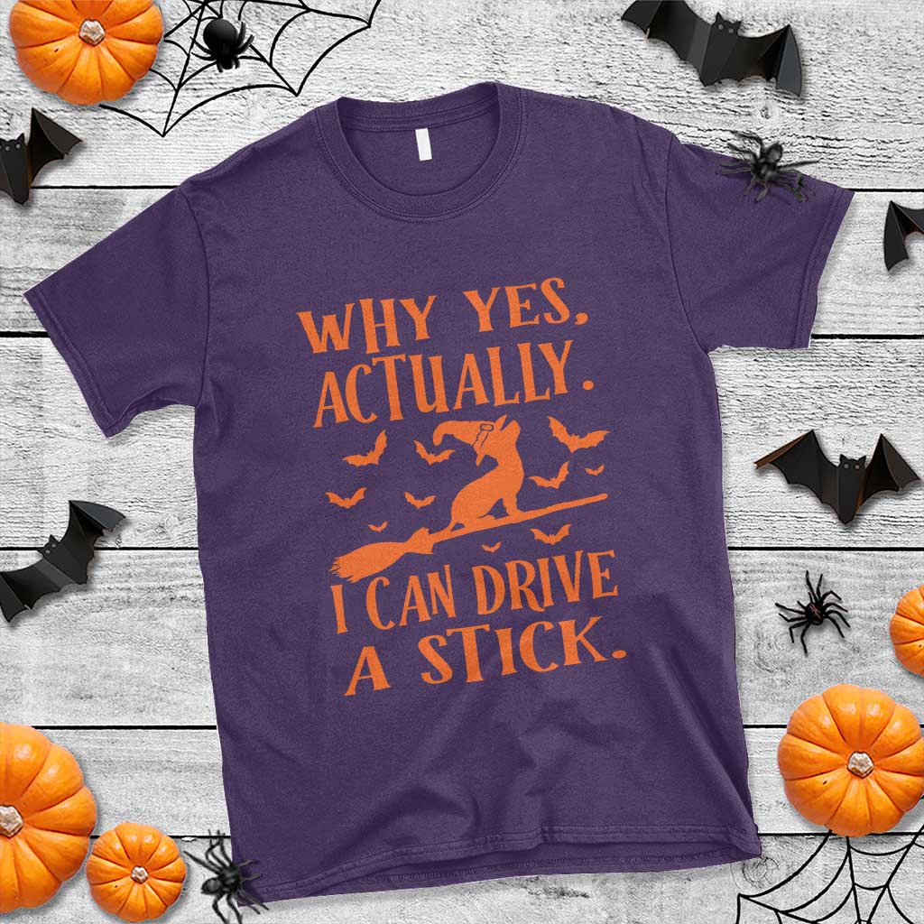 Halloween Dog T Shirt Why Yes Actually I Can Drive A Stick Witch - Wonder Print Shop