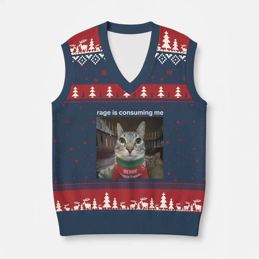 Rage Is Consuming Me Xmas V-Neck Knit Sweater Vest Funny Silly Staring Cat Meme Xmas Ugly Sweater - Wonder Print Shop