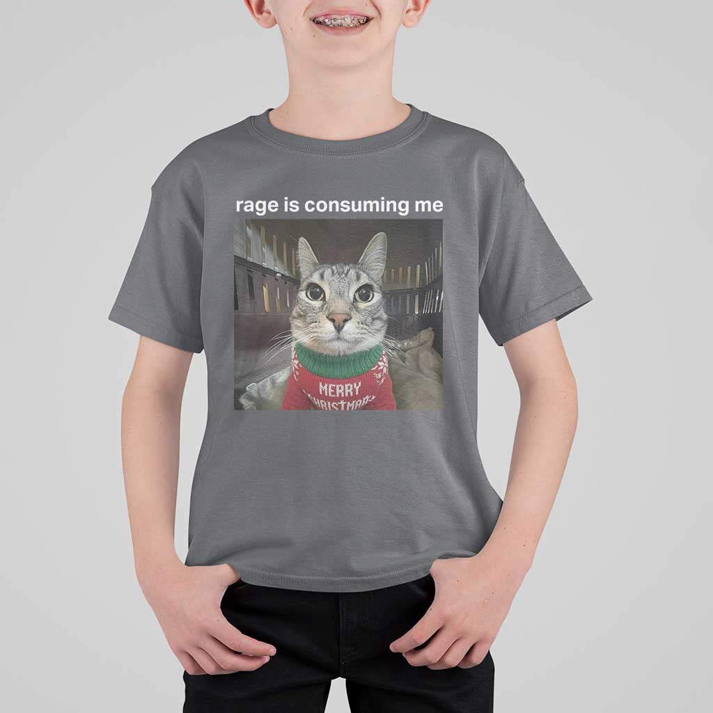 Rage Is Consuming Me Christmas T Shirt For Kid Funny Silly Staring Cat Meme Xmas Ugly Sweater - Wonder Print Shop