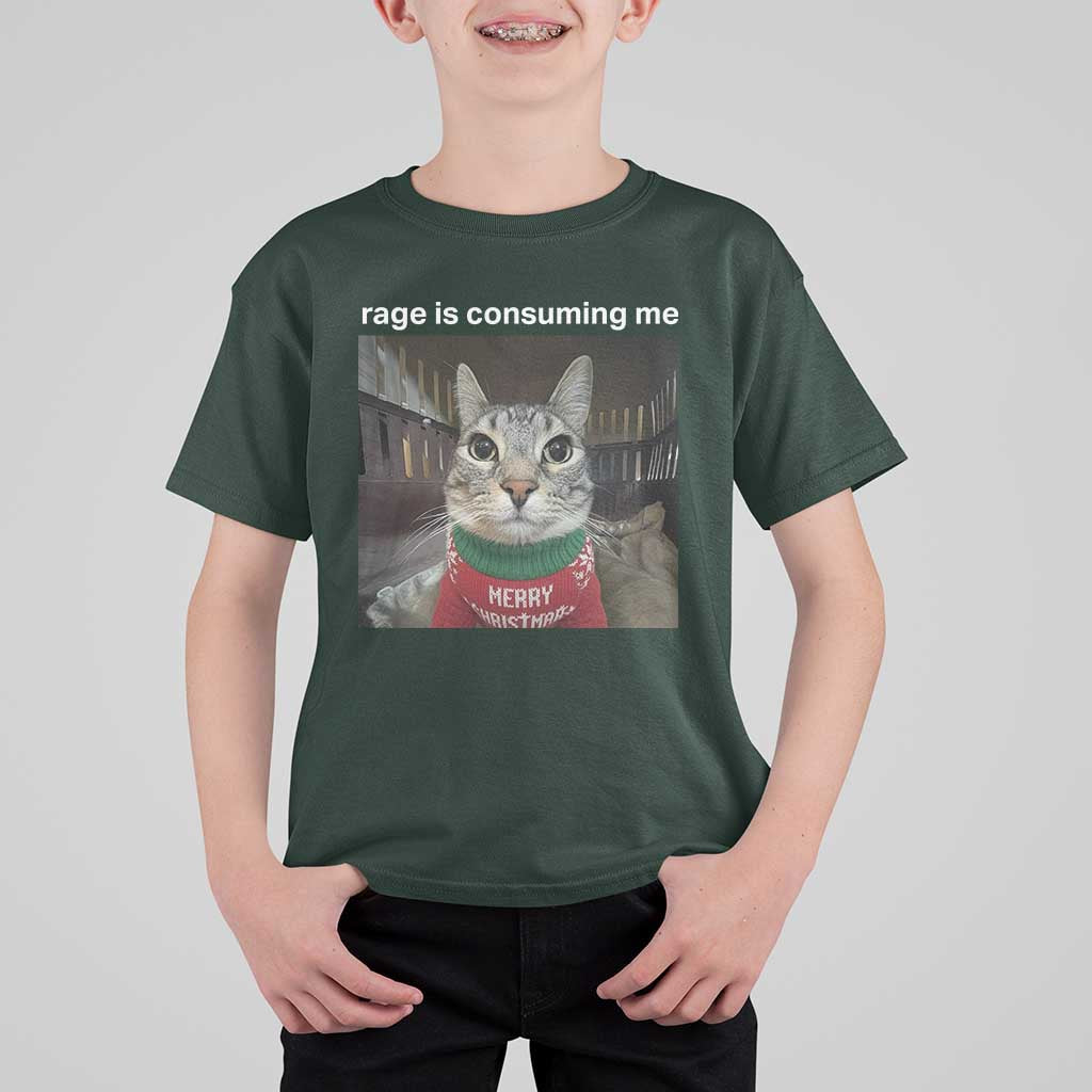 Rage Is Consuming Me Christmas T Shirt For Kid Funny Silly Staring Cat Meme Xmas Ugly Sweater - Wonder Print Shop
