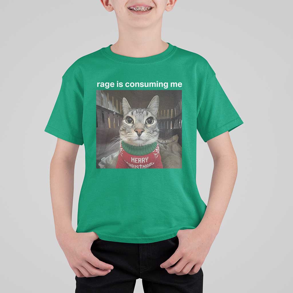 Rage Is Consuming Me Christmas T Shirt For Kid Funny Silly Staring Cat Meme Xmas Ugly Sweater - Wonder Print Shop