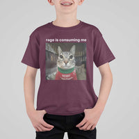 Rage Is Consuming Me Christmas T Shirt For Kid Funny Silly Staring Cat Meme Xmas Ugly Sweater - Wonder Print Shop