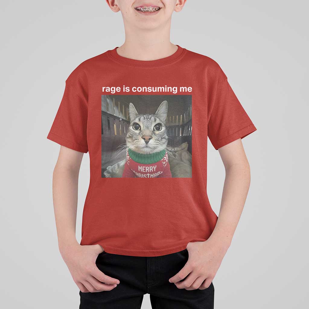 Rage Is Consuming Me Christmas T Shirt For Kid Funny Silly Staring Cat Meme Xmas Ugly Sweater - Wonder Print Shop