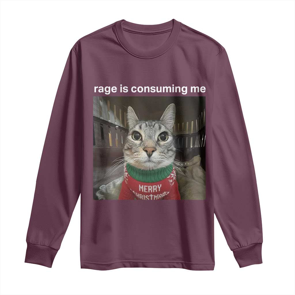 Rage Is Consuming Me Christmas Long Sleeve Shirt Funny Silly Staring Cat Meme Xmas Ugly Sweater - Wonder Print Shop