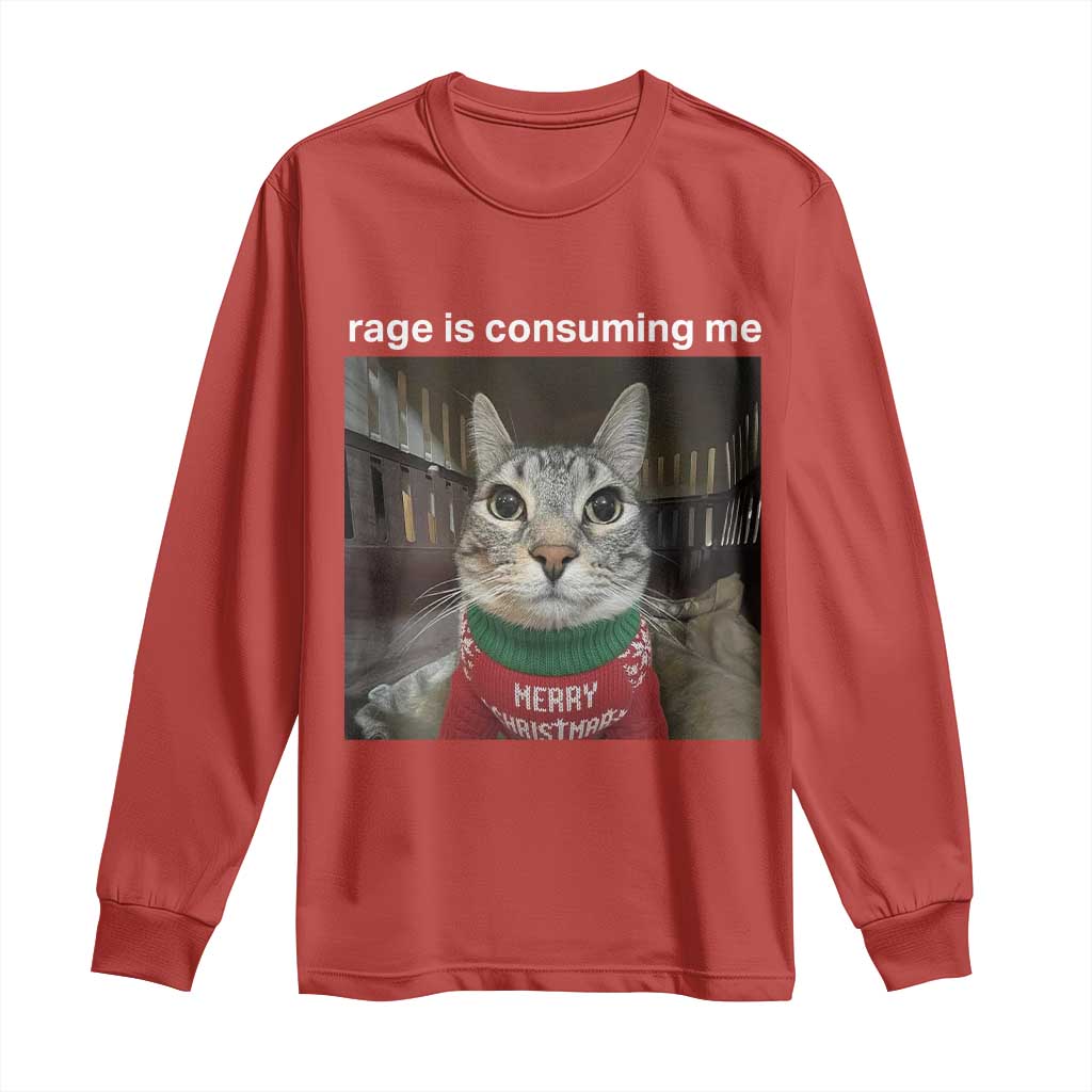 Rage Is Consuming Me Christmas Long Sleeve Shirt Funny Silly Staring Cat Meme Xmas Ugly Sweater - Wonder Print Shop