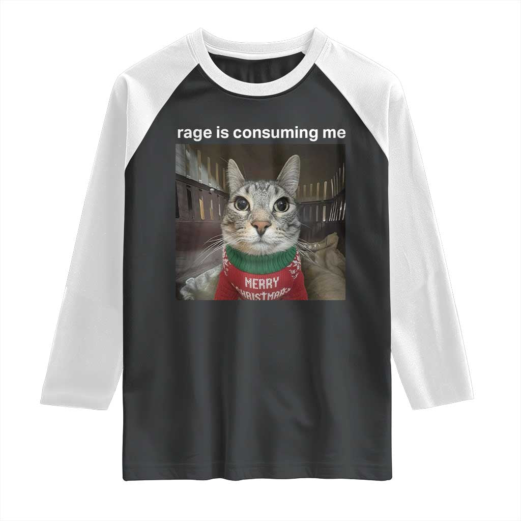Rage Is Consuming Me Christmas Raglan Shirt Funny Silly Staring Cat Meme Xmas Ugly Sweater - Wonder Print Shop