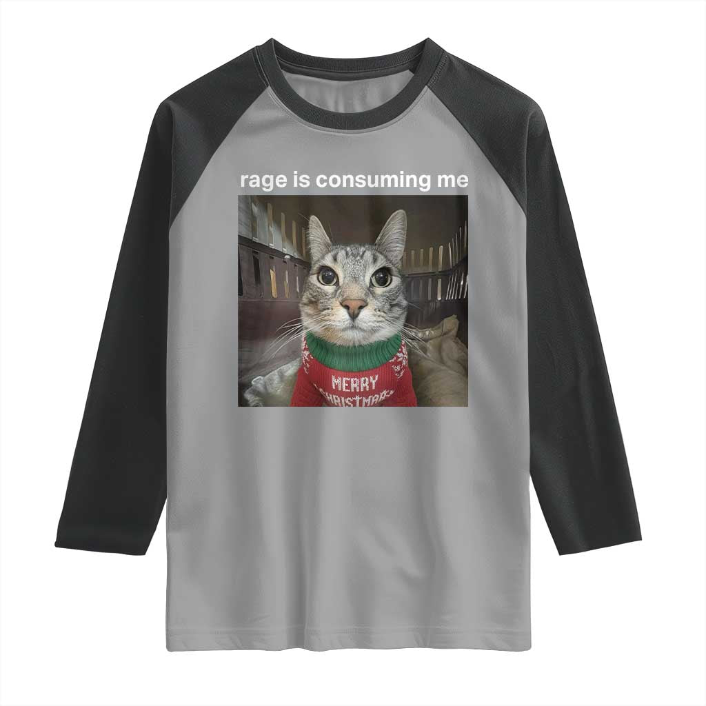 Rage Is Consuming Me Christmas Raglan Shirt Funny Silly Staring Cat Meme Xmas Ugly Sweater - Wonder Print Shop