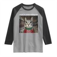 Rage Is Consuming Me Christmas Raglan Shirt Funny Silly Staring Cat Meme Xmas Ugly Sweater - Wonder Print Shop