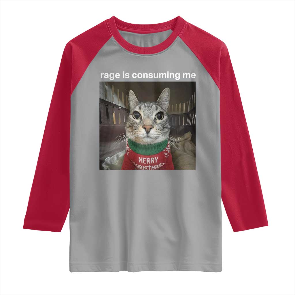 Rage Is Consuming Me Christmas Raglan Shirt Funny Silly Staring Cat Meme Xmas Ugly Sweater - Wonder Print Shop