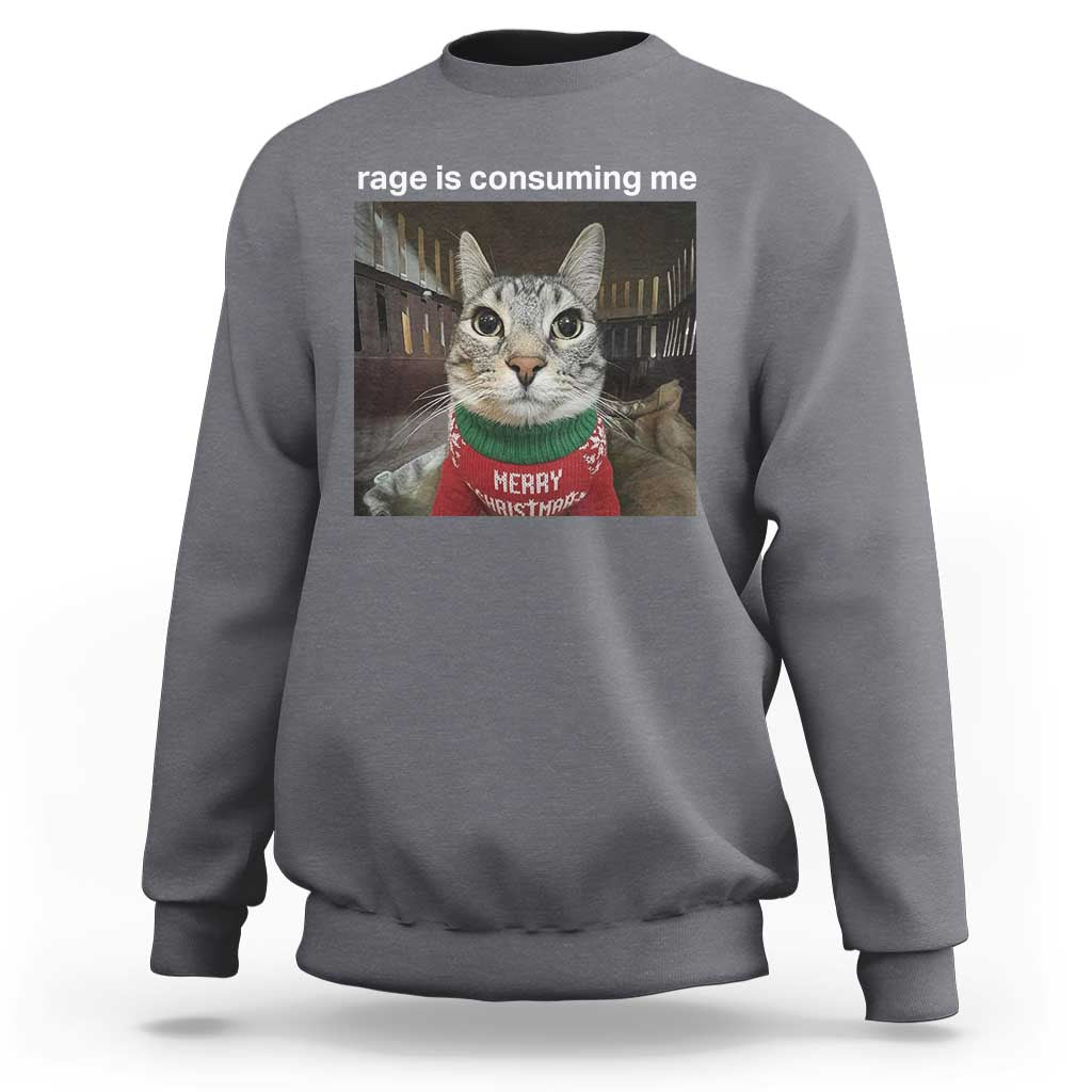 Rage Is Consuming Me Christmas Sweatshirt Funny Silly Staring Cat Meme Xmas Ugly Sweater - Wonder Print Shop