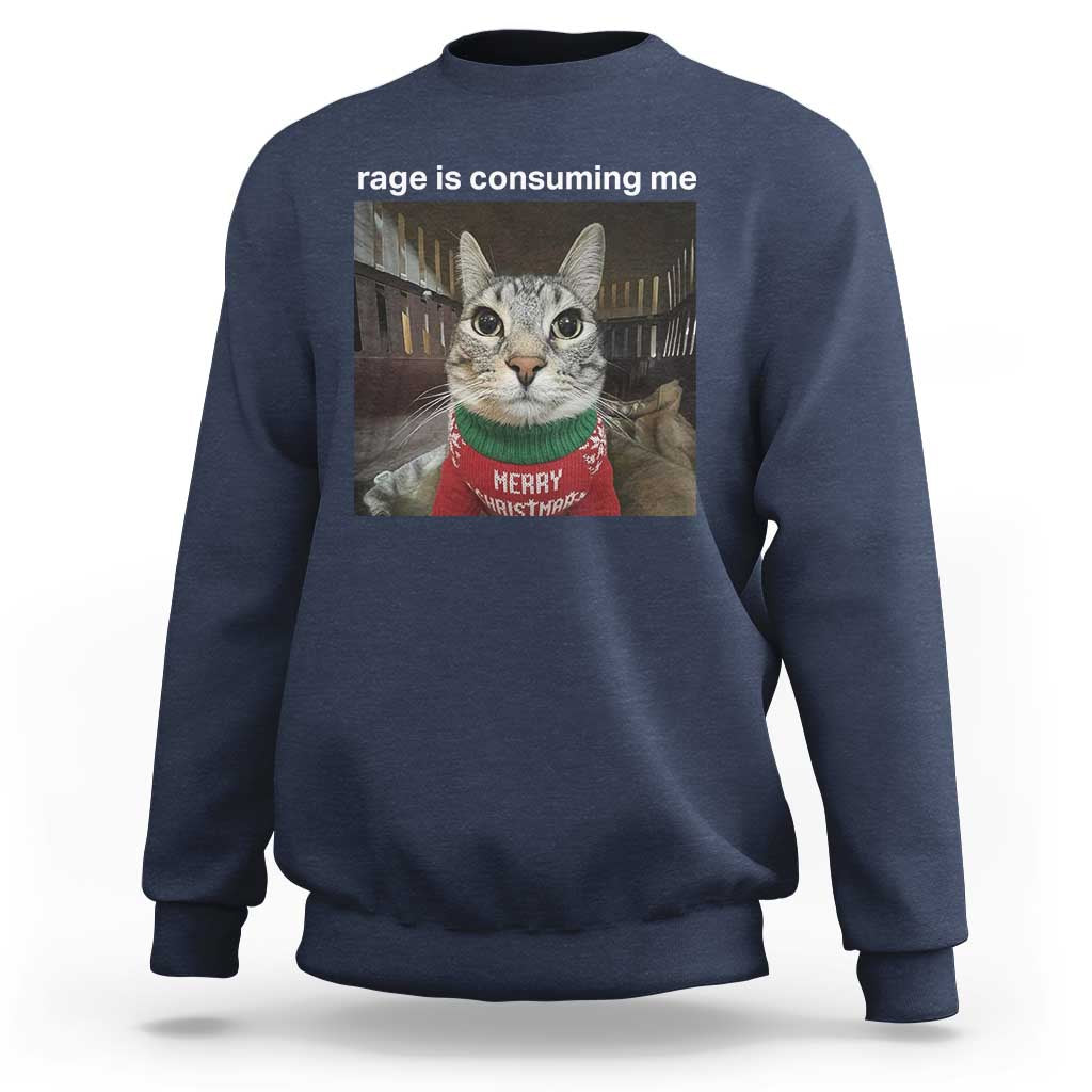 Rage Is Consuming Me Christmas Sweatshirt Funny Silly Staring Cat Meme Xmas Ugly Sweater - Wonder Print Shop