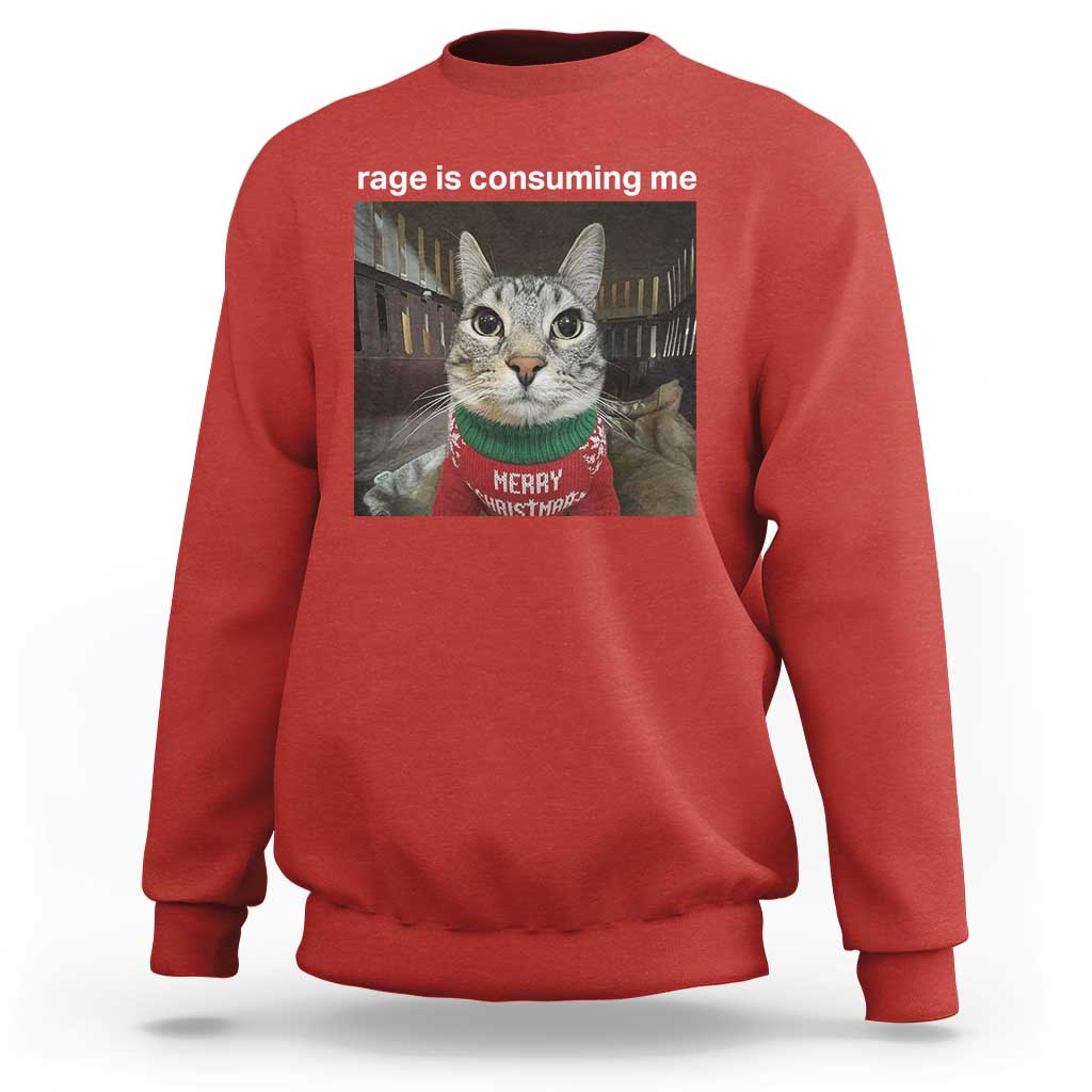 Rage Is Consuming Me Christmas Sweatshirt Funny Silly Staring Cat Meme Xmas Ugly Sweater - Wonder Print Shop