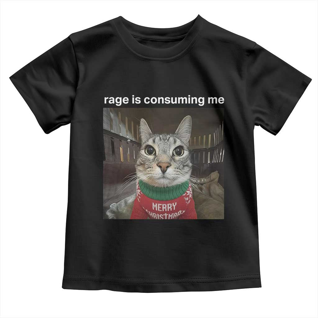 Rage Is Consuming Me Christmas Toddler T Shirt Funny Silly Staring Cat Meme Xmas Ugly Sweater - Wonder Print Shop