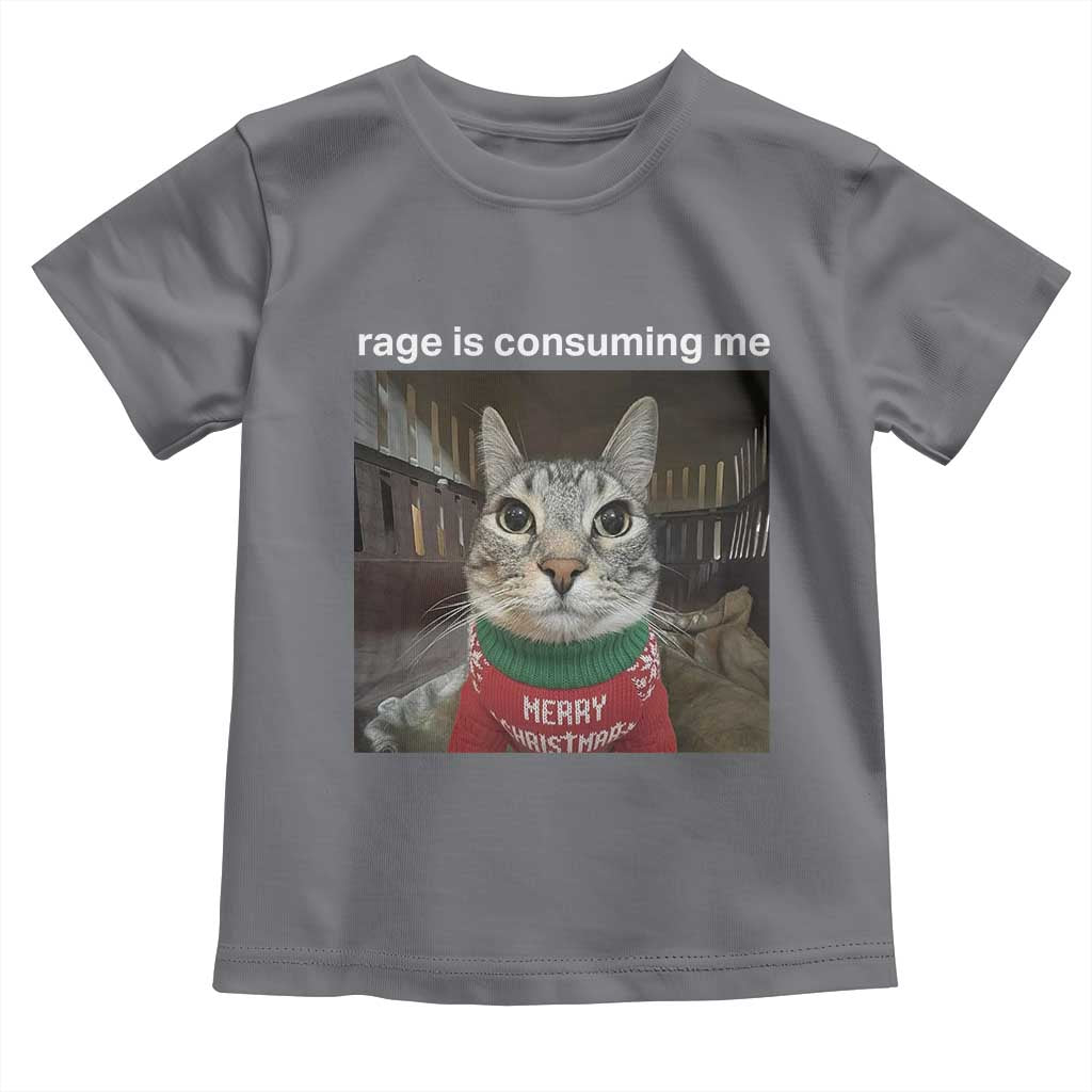 Rage Is Consuming Me Christmas Toddler T Shirt Funny Silly Staring Cat Meme Xmas Ugly Sweater - Wonder Print Shop