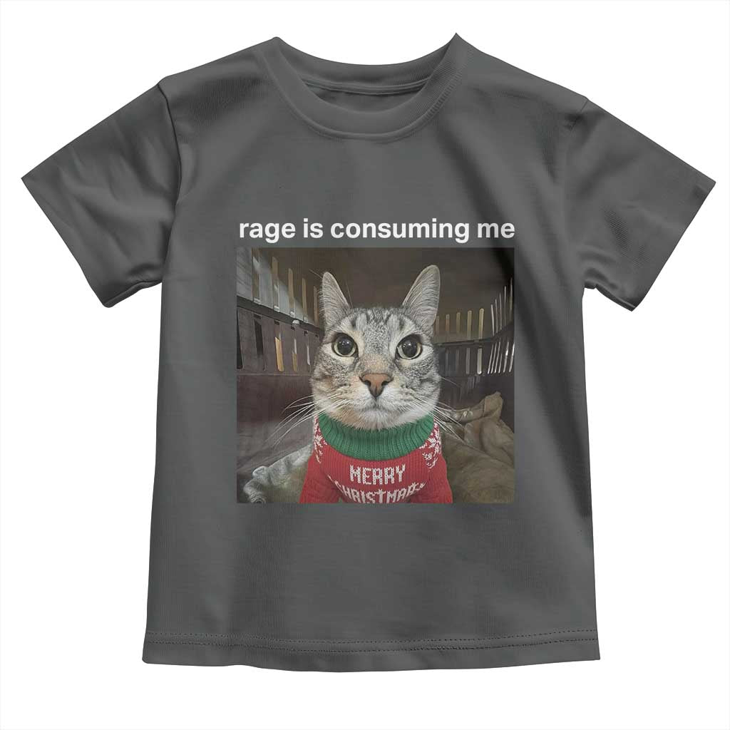 Rage Is Consuming Me Christmas Toddler T Shirt Funny Silly Staring Cat Meme Xmas Ugly Sweater - Wonder Print Shop