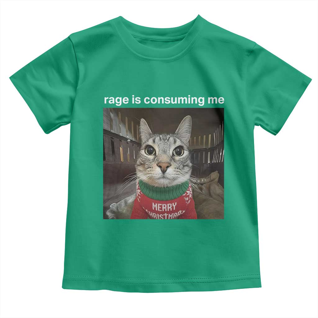 Rage Is Consuming Me Christmas Toddler T Shirt Funny Silly Staring Cat Meme Xmas Ugly Sweater - Wonder Print Shop