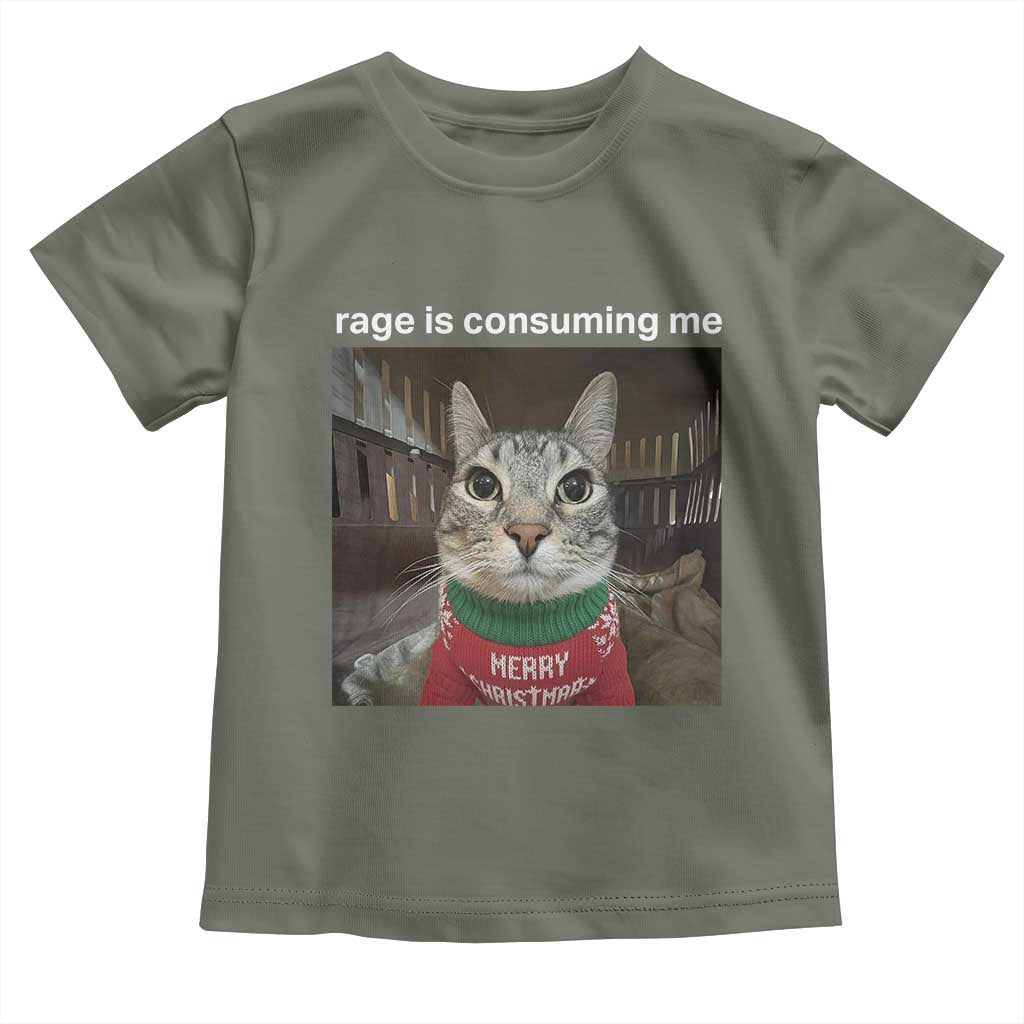 Rage Is Consuming Me Christmas Toddler T Shirt Funny Silly Staring Cat Meme Xmas Ugly Sweater - Wonder Print Shop
