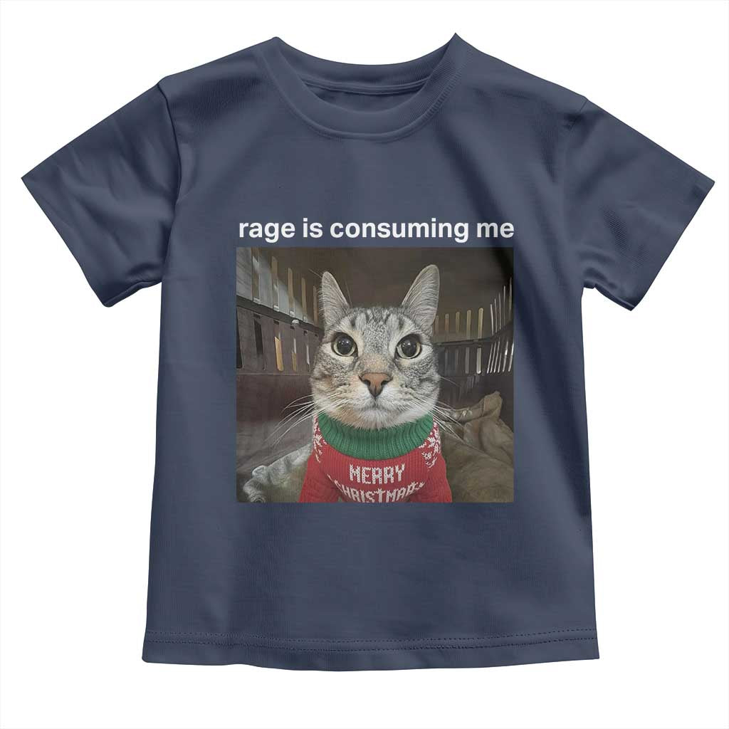 Rage Is Consuming Me Christmas Toddler T Shirt Funny Silly Staring Cat Meme Xmas Ugly Sweater - Wonder Print Shop