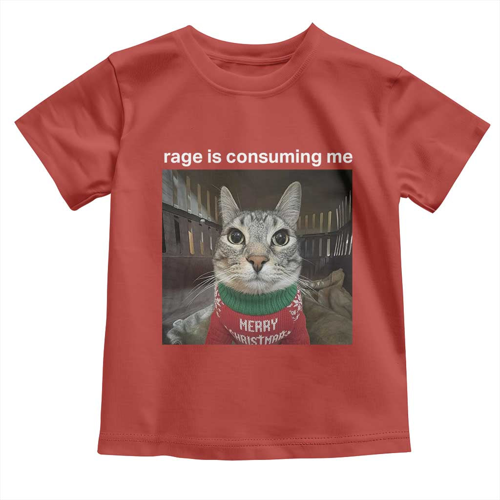 Rage Is Consuming Me Christmas Toddler T Shirt Funny Silly Staring Cat Meme Xmas Ugly Sweater - Wonder Print Shop